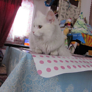Блог Кота Васьки Шустрик