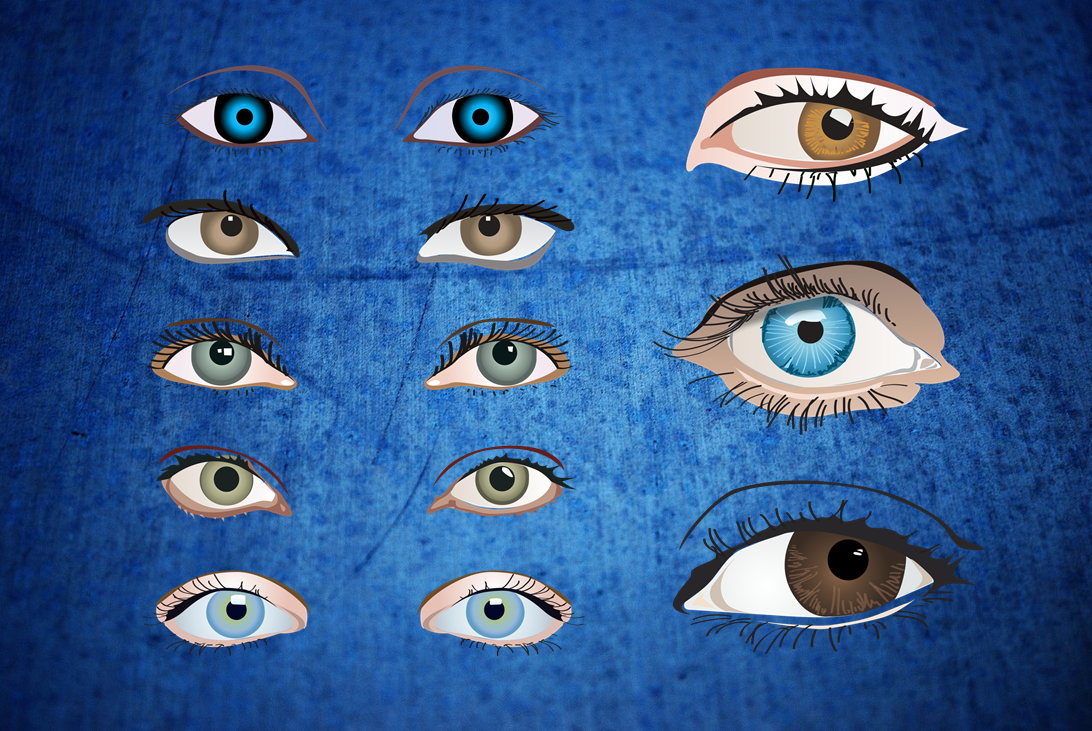 Download gratis Vektor mata untuk bahan editor ~ Tempatnya Artikel Apapun