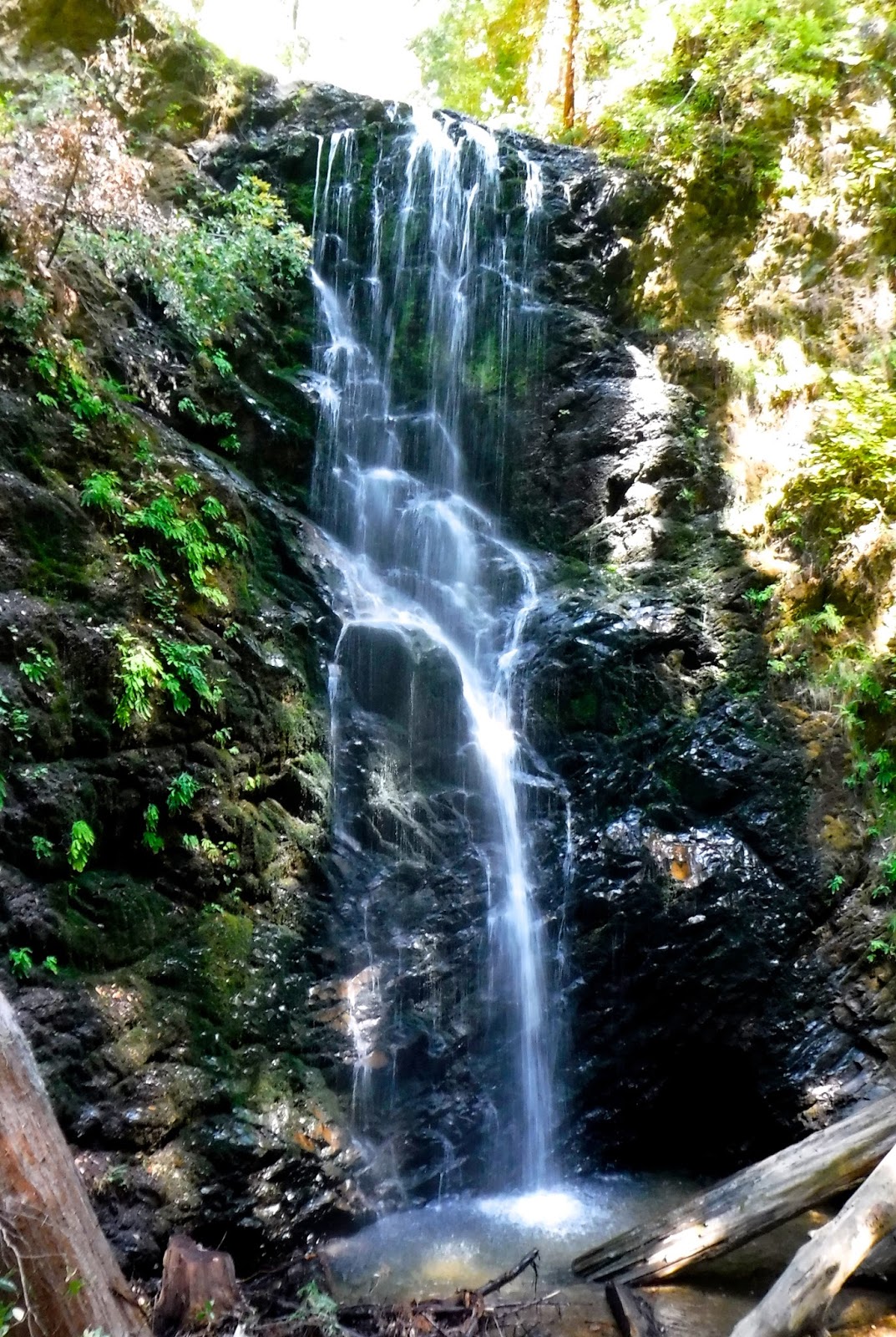 Santa Cruz Mountains Trails Summer Hike to Berry Creek, Silver