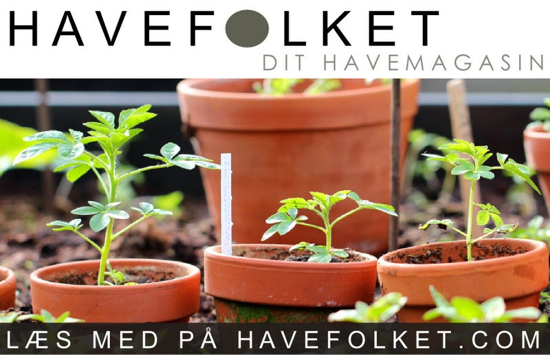 Havefolket