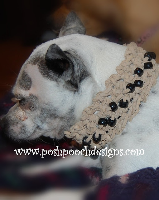 Posh Pooch Designs Dog Clothes Suede Lace Dog Collar Crochet Pattern