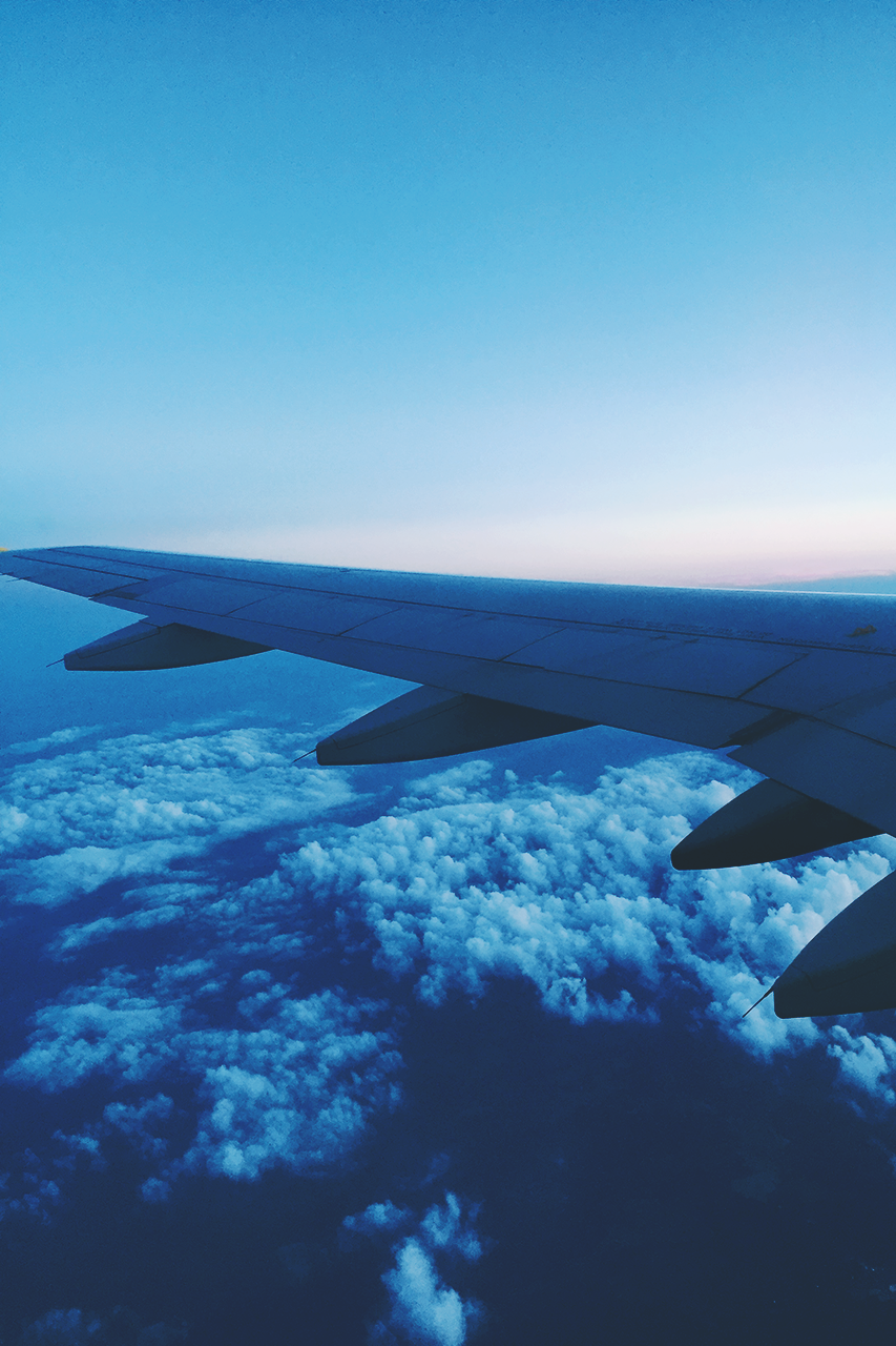 Las Vegas karenosaurus