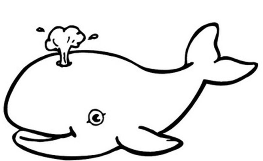 contoh gambar mewarnai hewan laut paus