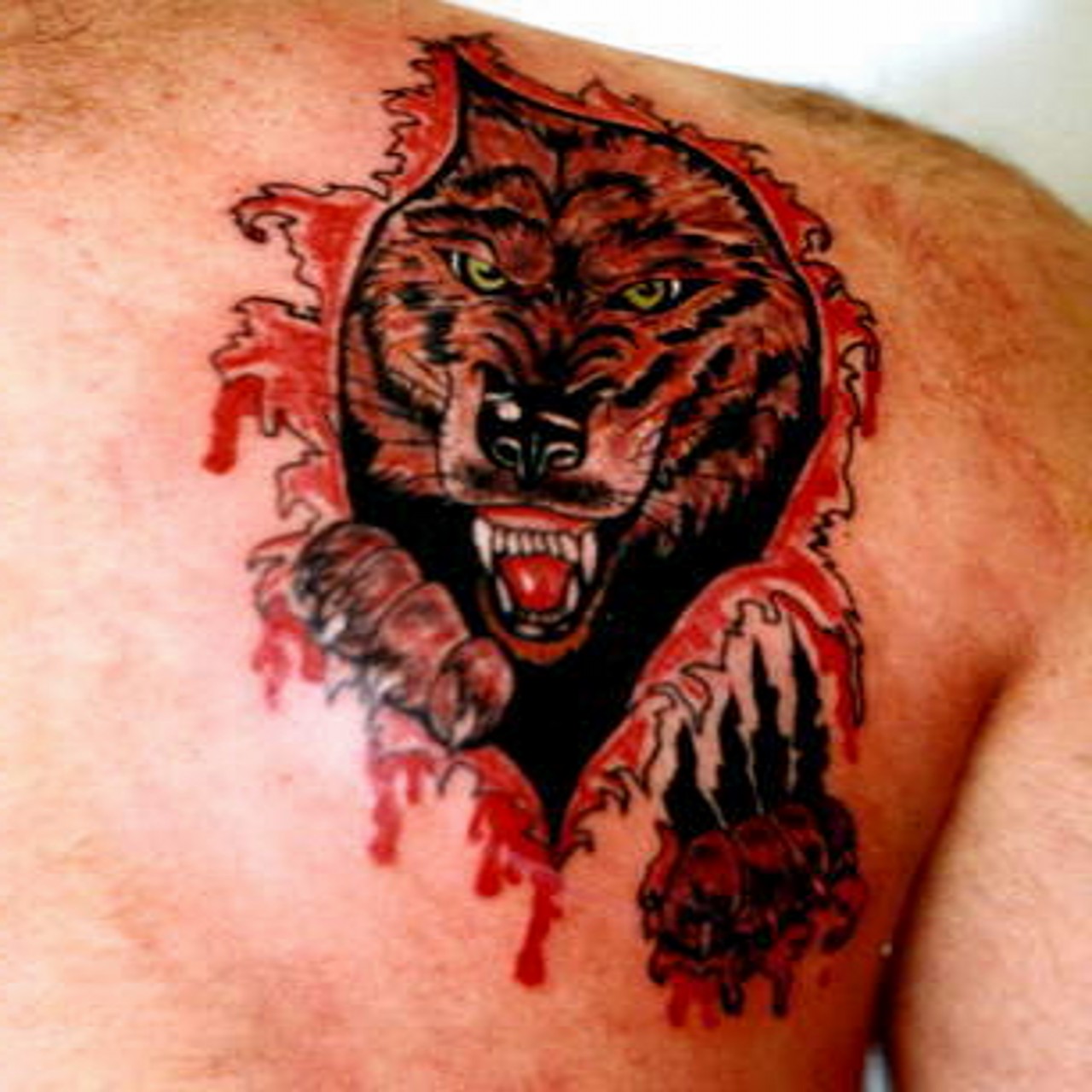 http://2.bp.blogspot.com/-PmuwHvIN6ck/TokT2NyOy3I/AAAAAAAACKA/4IGZdxPQIvY/s1600/3d%2BWild-Wolf-Tattoo-Designs.jpg