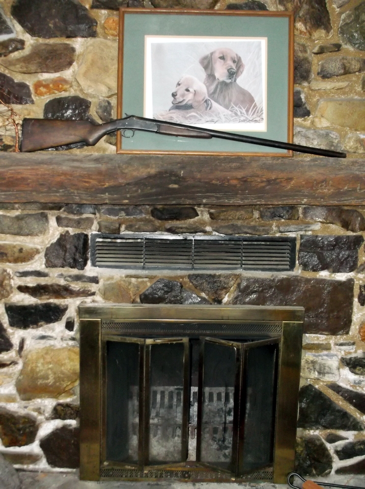 Lagniappe's Lair My Father's Guns