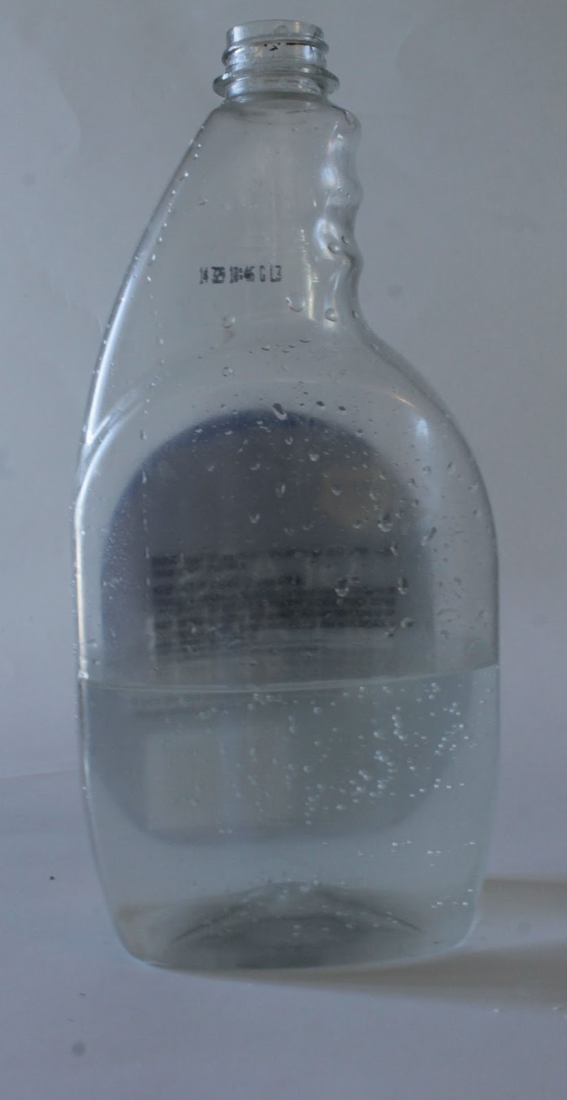 In Search Of DIY All Purpose Cleaner and Carpet Cleaner