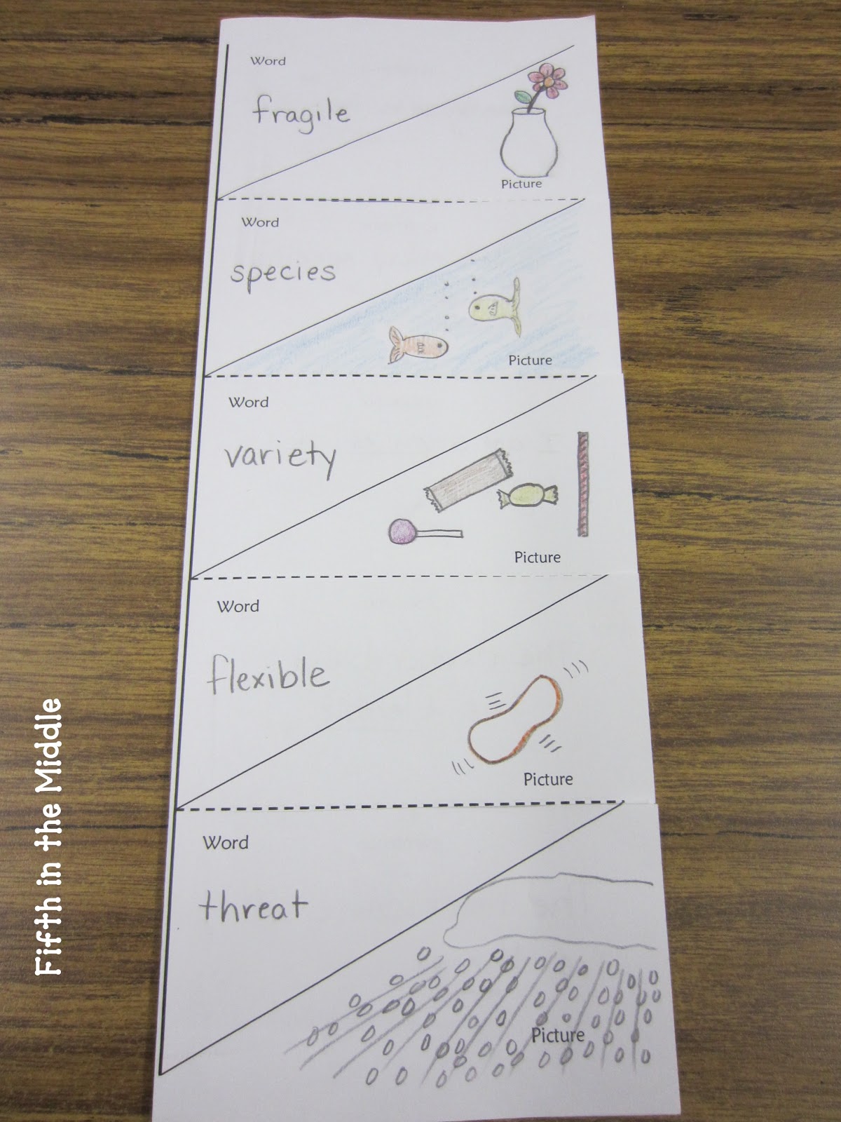 vocabulary-foldable-fifth-in-the-middle