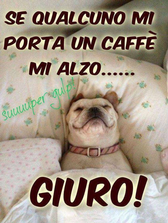Immagini di buongiorno animate gratis da inviare su Whatsapp e Facebook jpg (564x751)