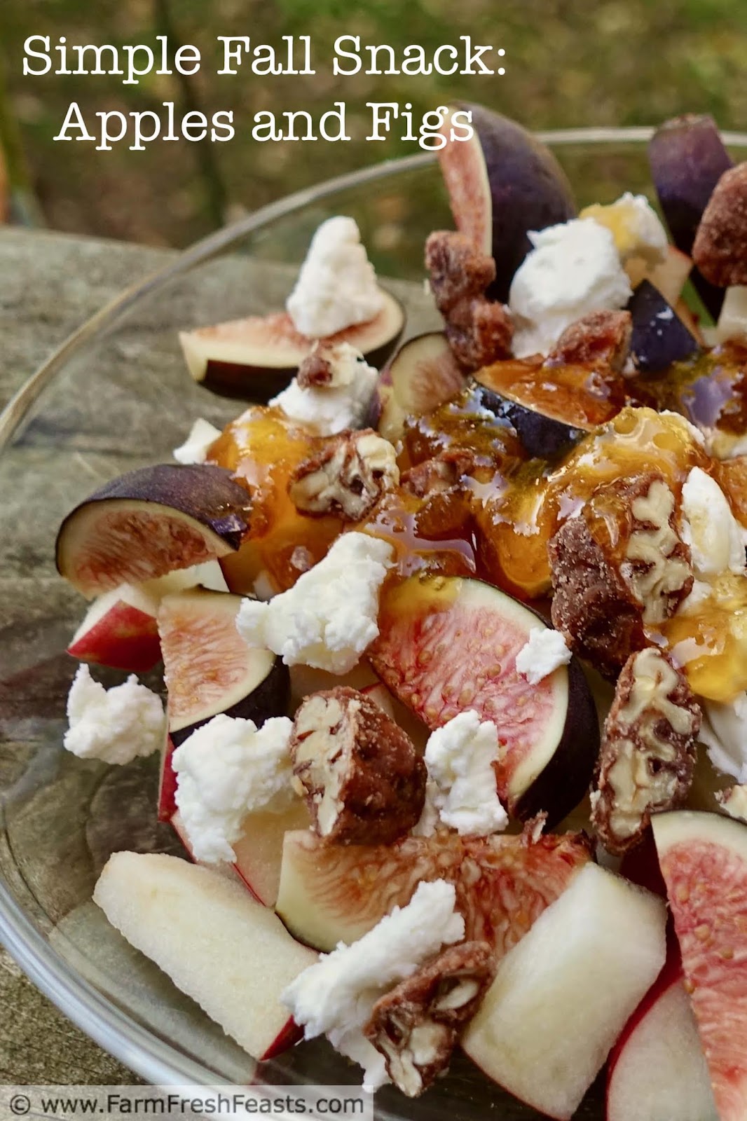 Farm Fresh Feasts Fresh Fig and Apple Dessert