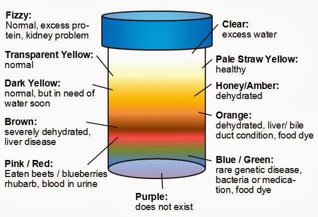Urine Colour Chart Nhs