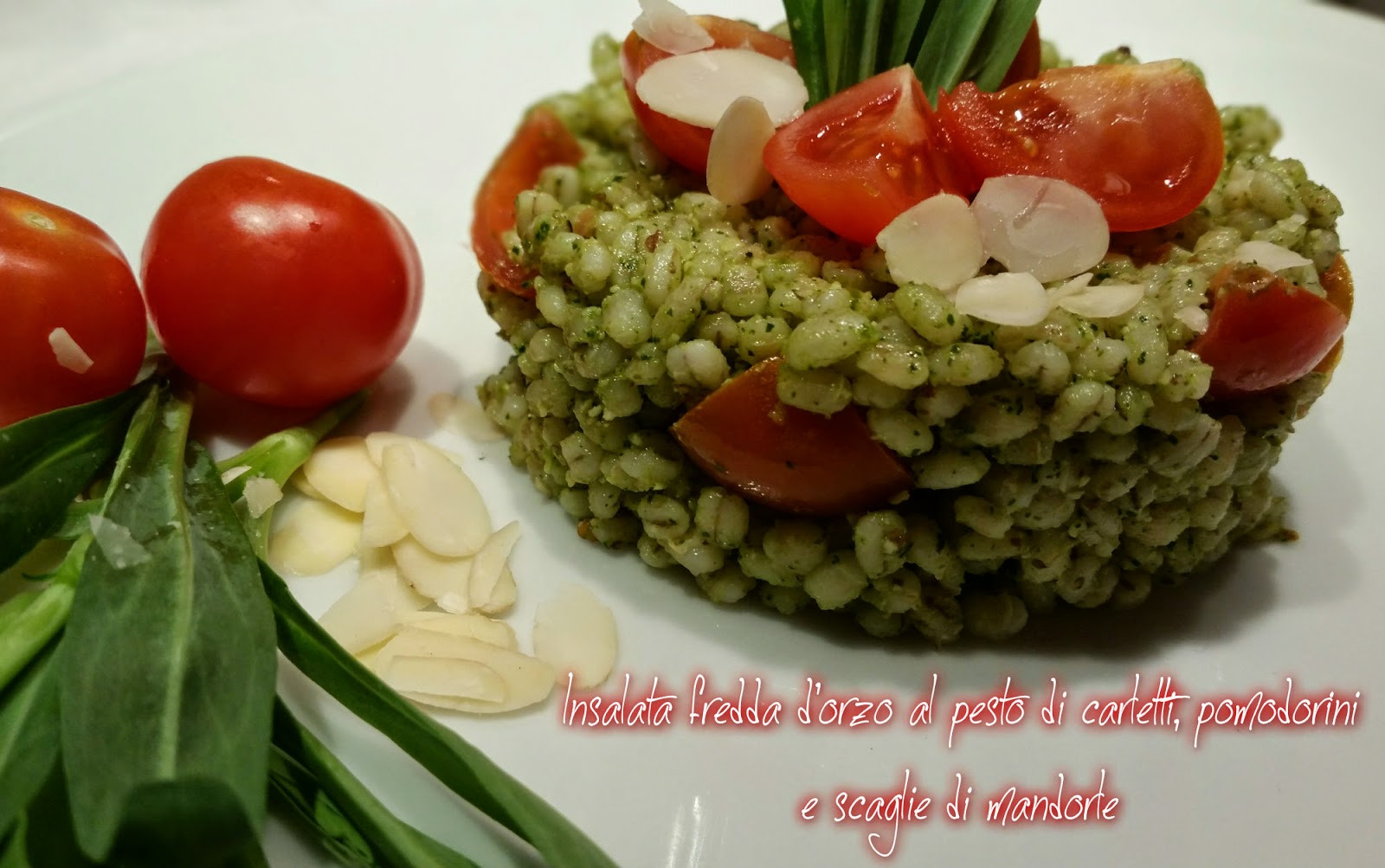 CAROTINA GOURMET INSALATA FREDDA D'ORZO AL PESTO DI CARLETTI