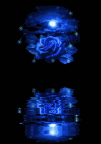 ۞† Blue Rose †۞