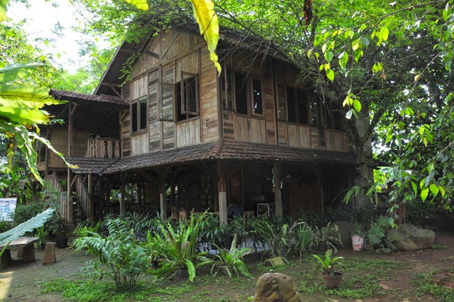 Wisata Rumah Pohon