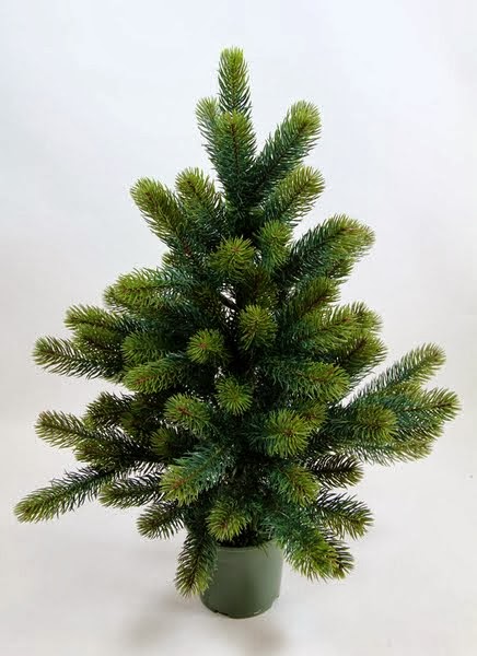 Malvorlagen Tannenbaum Kinder Malvorlagen Malvorlagen Fur