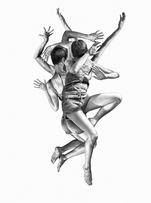 Design Stack: A Blog about Art, Design and Architecture: Entangled