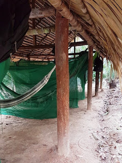 A roiw of hammocks under a thatched roof