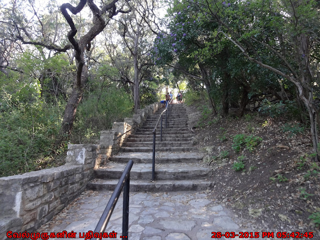 Covert Park Mount Bonnell 