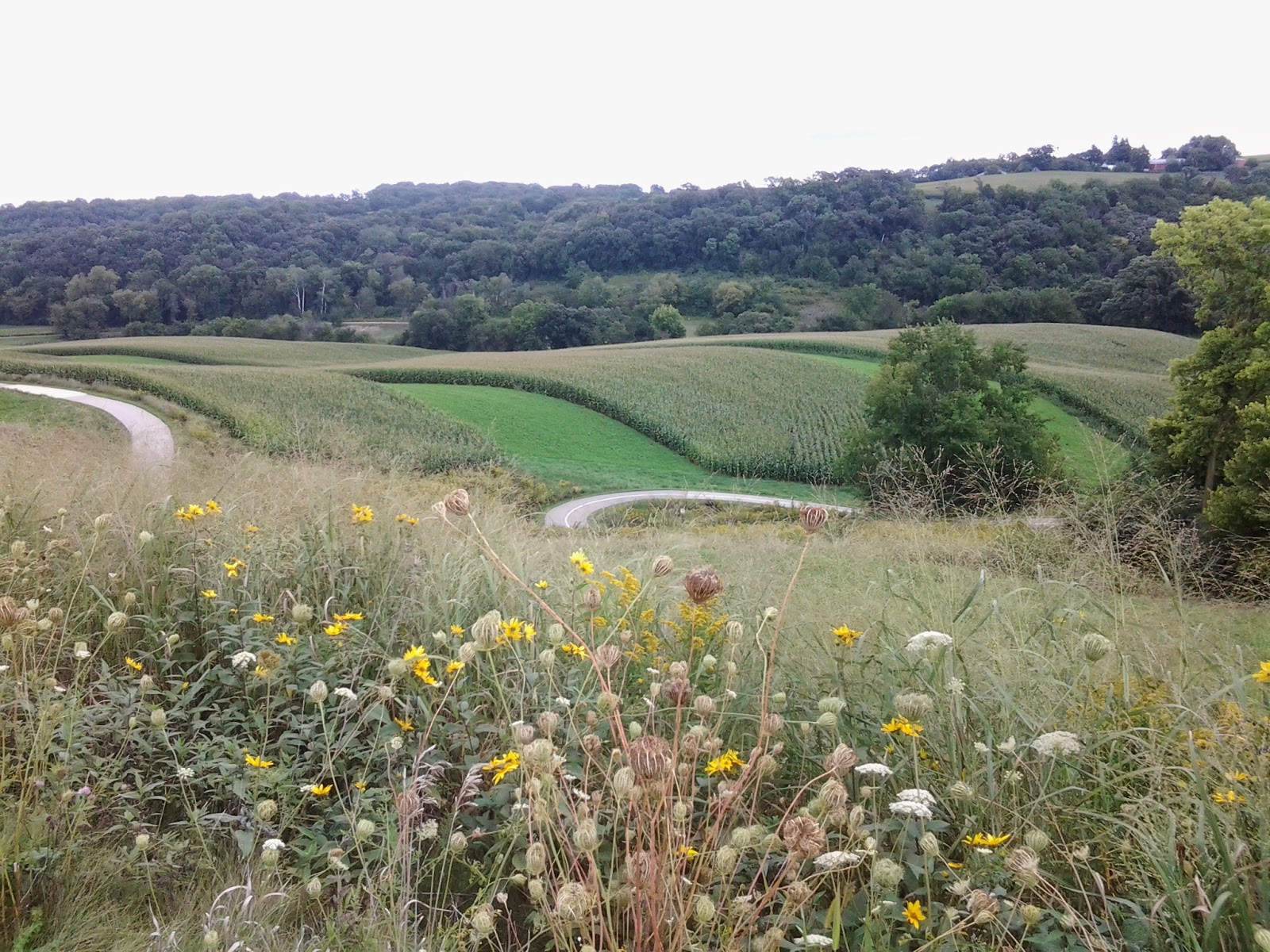 Trout Run Trail Hilly But Worth It