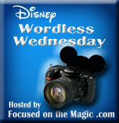 Disney Wordless Wednesday Blog Hop Focused On The Magic