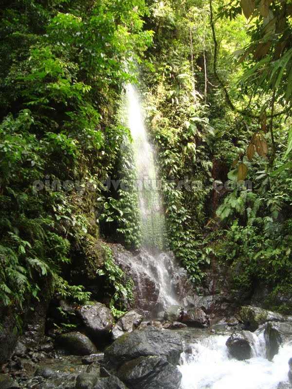 Ditumabo Falls San Luis Aurora