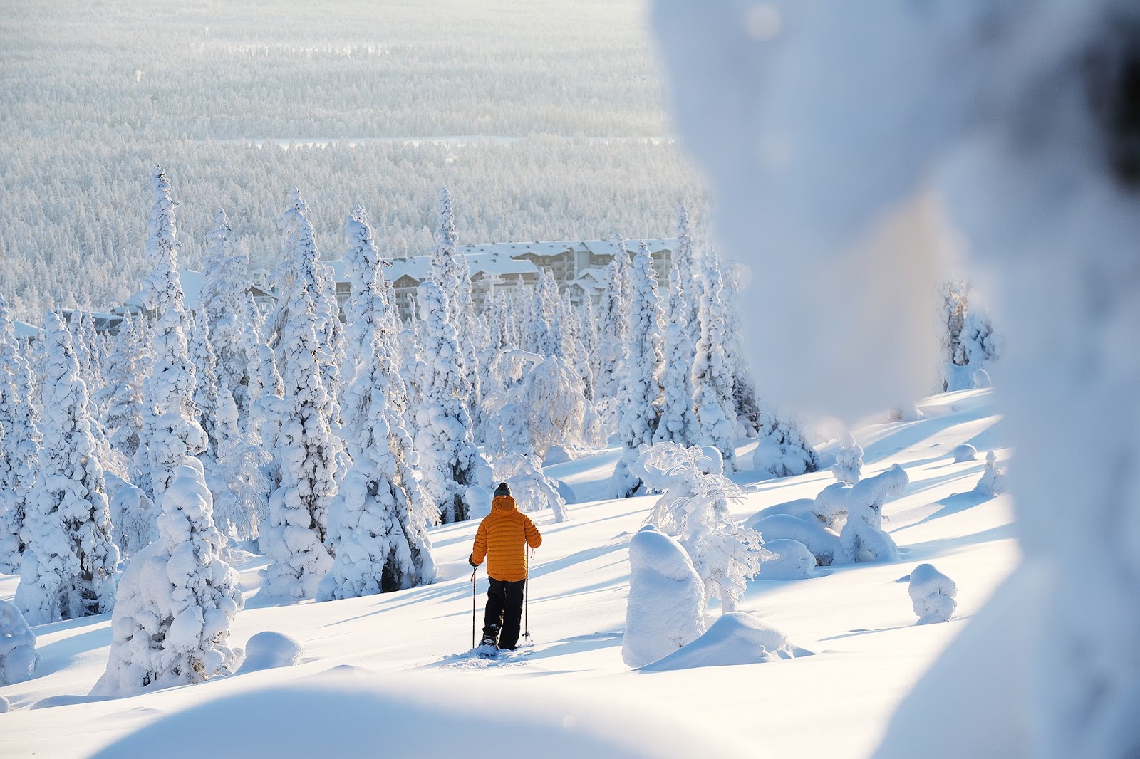 November 2015 ~ F I N S K A