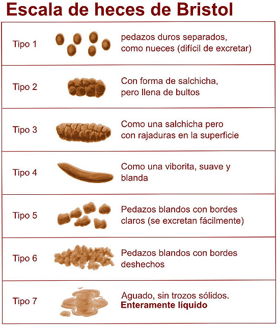 Desarrollo Sustentable Escala de analisis del popo y pipi. Desarrollo Sustentable Escala de analisis del popo y pipi.