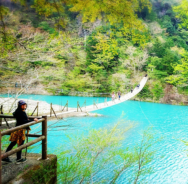 Adnilem's Journey Suspension bridge thrilling adventure