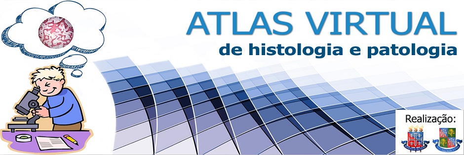 Atlas virtual de histologia e patologia