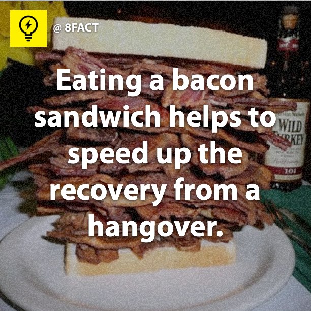 Eating a bacon sandwich helps to speed up the recovery from a hangover