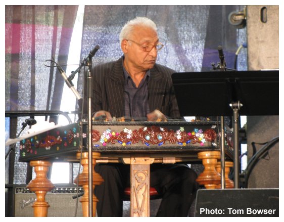Nicolae Feraru - Cimbalom and the Steve Gibons Gypsy Rhythm Project at the Von Freeman Pavilion of the 2017 Chicago Jazz Festival | Photograph by Tom Bowser