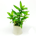 Alamat Ondofish Bogor | Aquascape Murah SeIndonesia