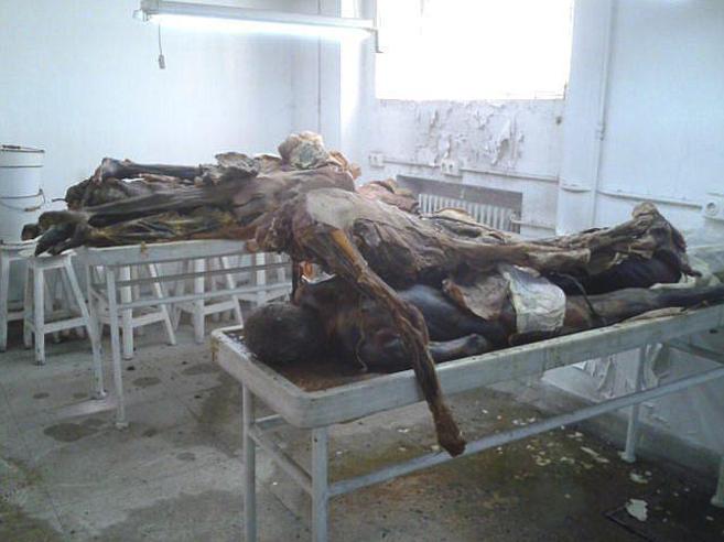 Crimen Scientia: Los Cadáveres del Sótano de la Complutense