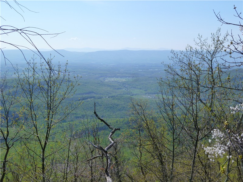 Gone Hikin' Big Schloss Washington National Forest Wolf Gap