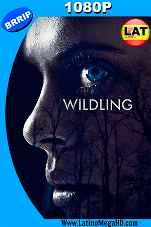 Criaturas Nocturnas (2018) Latino HD 1080P (2018)