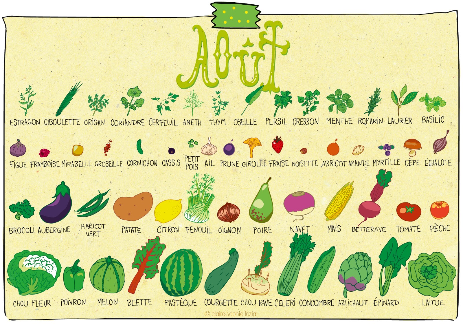 Août Calendrier des fruits et légumes pissenlit