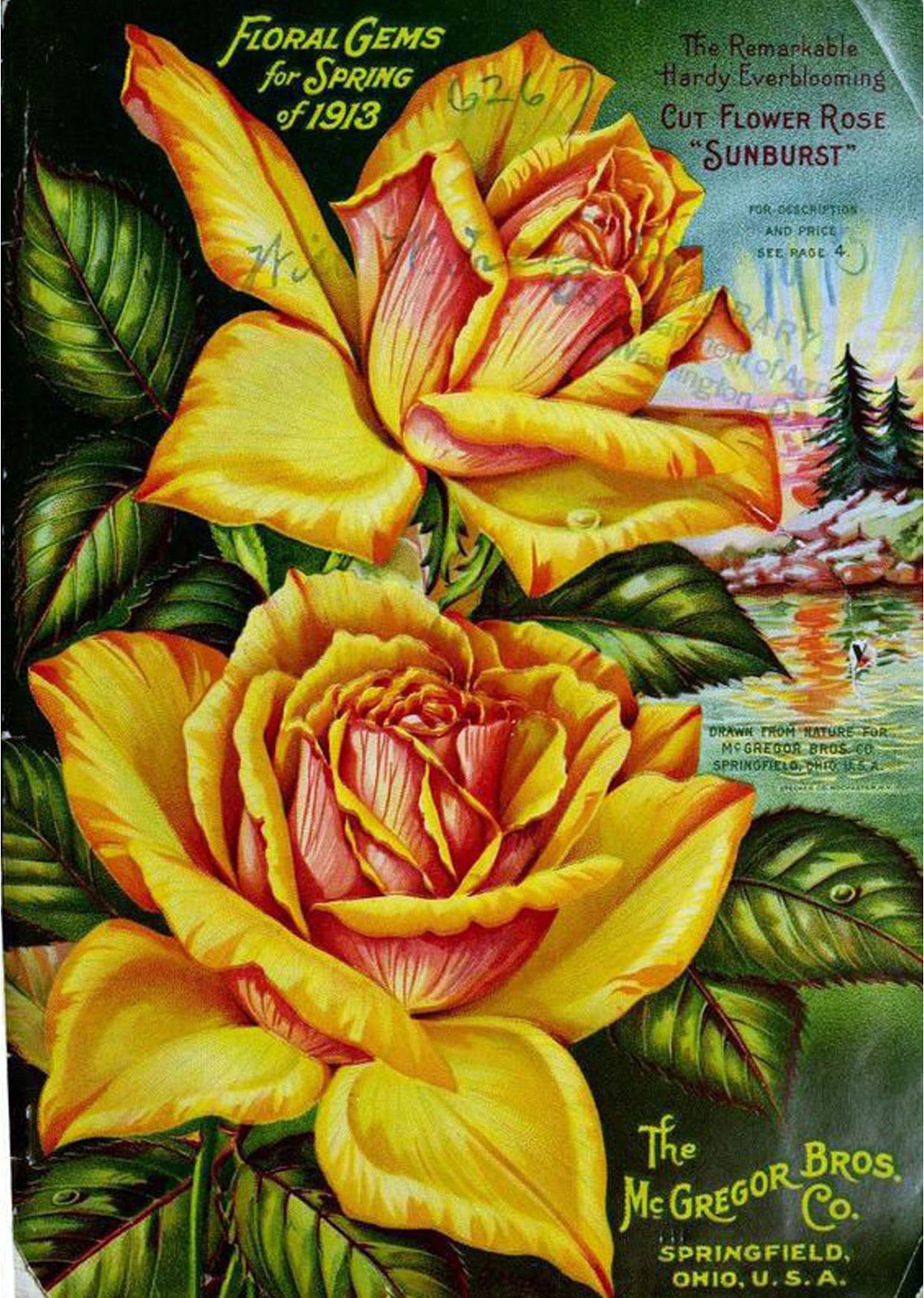 Vintage Antique Roses Posters_(61 item) Joy Design Studio