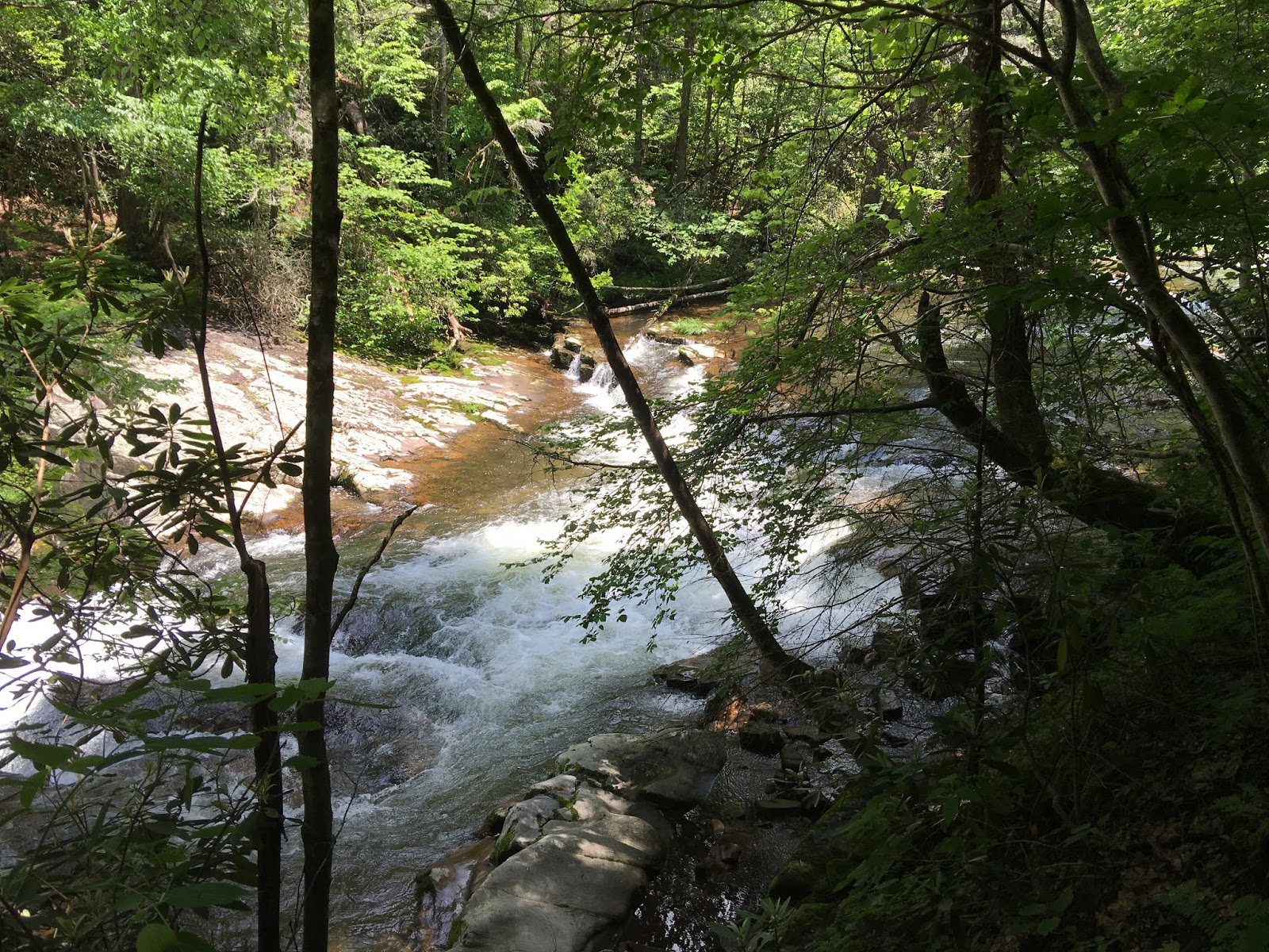 Creeper Trail Bike Rental & Shuttle Beautiful Photos ( Creeper Trail )
