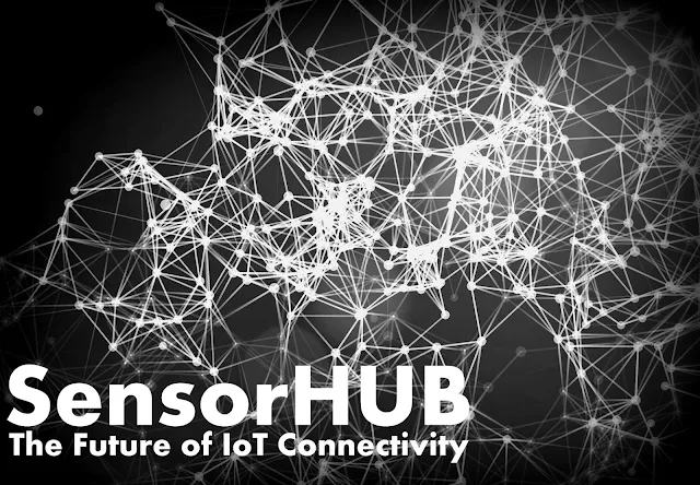 IT | SensorHUB : The Future of IoT Connectivity