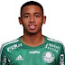 Gabriel Jesus Resmi Mendarat Di Manchester City