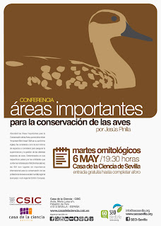 Conferencia ornitológica organizada por el Grupo Local SEO-Sevilla de SEO/BirdLife en el museo Casa de la Ciencia de Sevilla. "Áreas importantes para la conservación de aves". Por Jesús Pinilla (SEO/BirdLife)