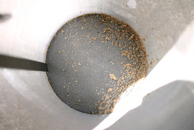 The small amount of grain the hop filter caught on the wort's way to the kettle.