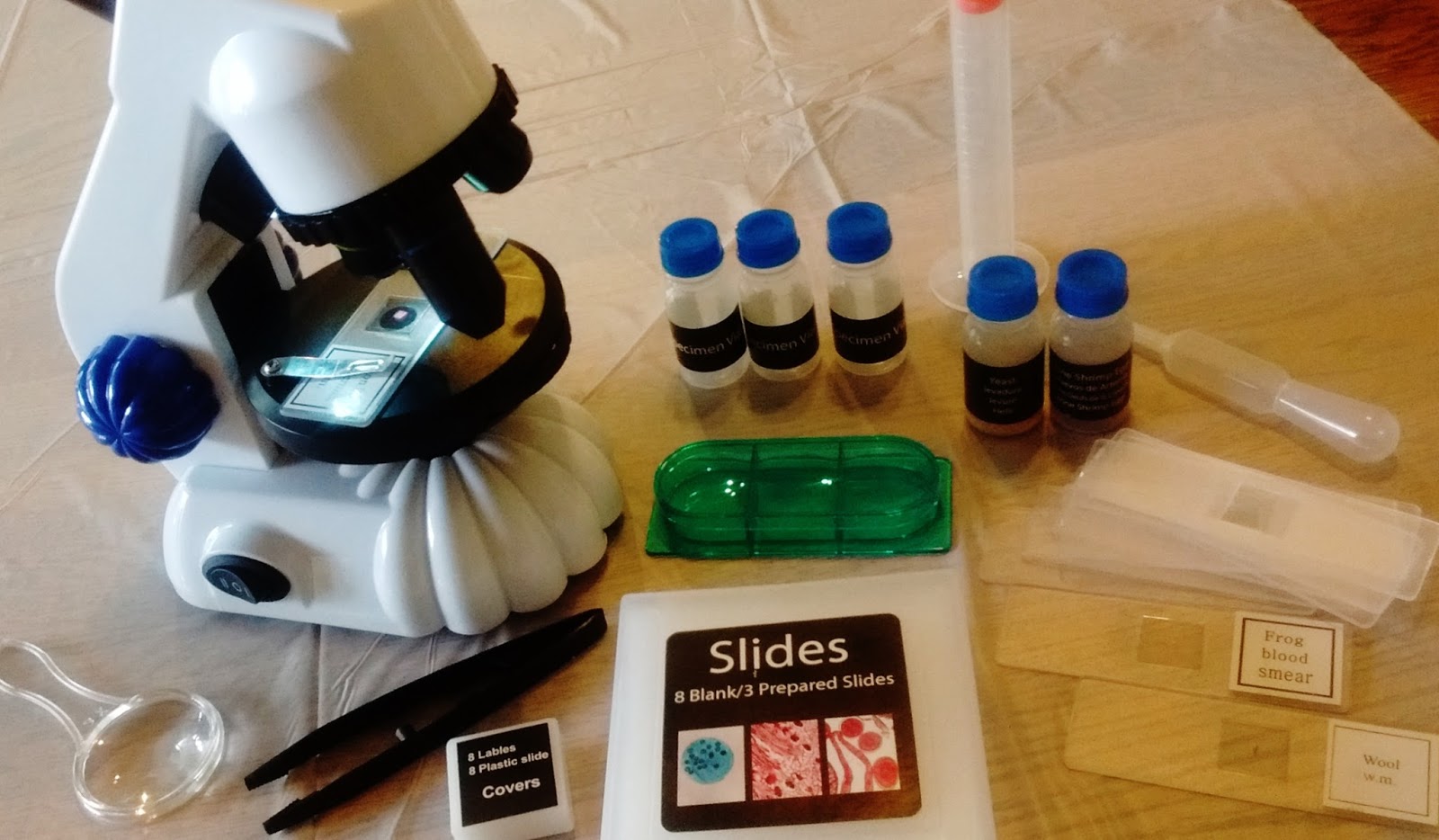 The Traveling Sisterhood My First Lab Microscope Giveaway, the Perfect