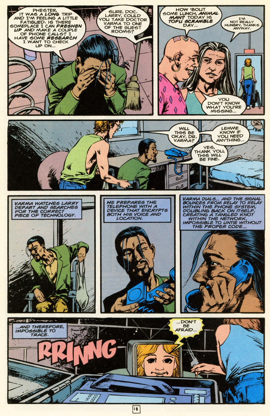 Read online Animal Man (1988) comic -  Issue #85 - 19