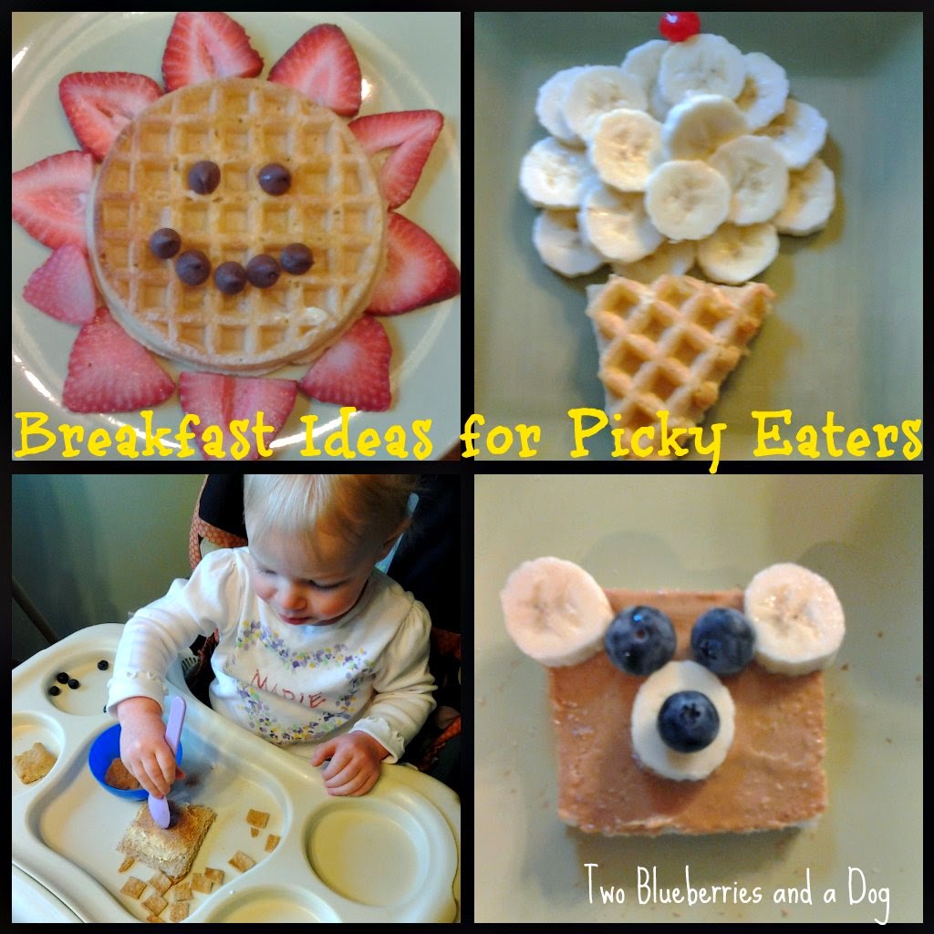 Two Blueberries and a Dog Breakfast Ideas for Picky Eaters