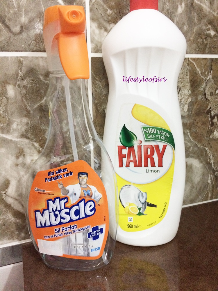 Lifestyle Of Siri Nisan 2017