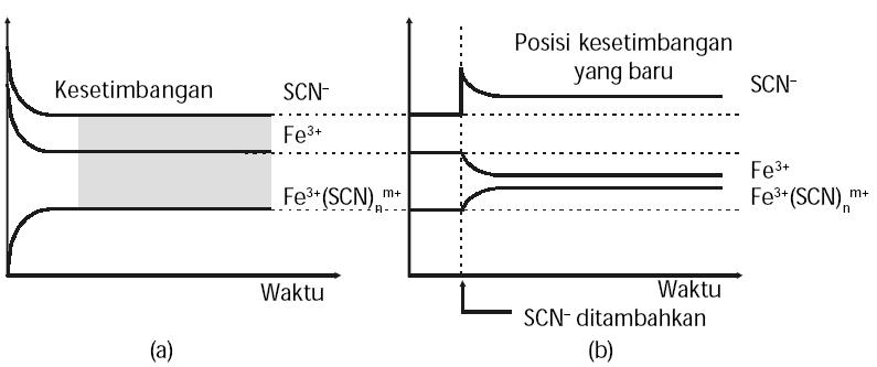 Keseimbangan Persamaan Reaksi Kimia Eva