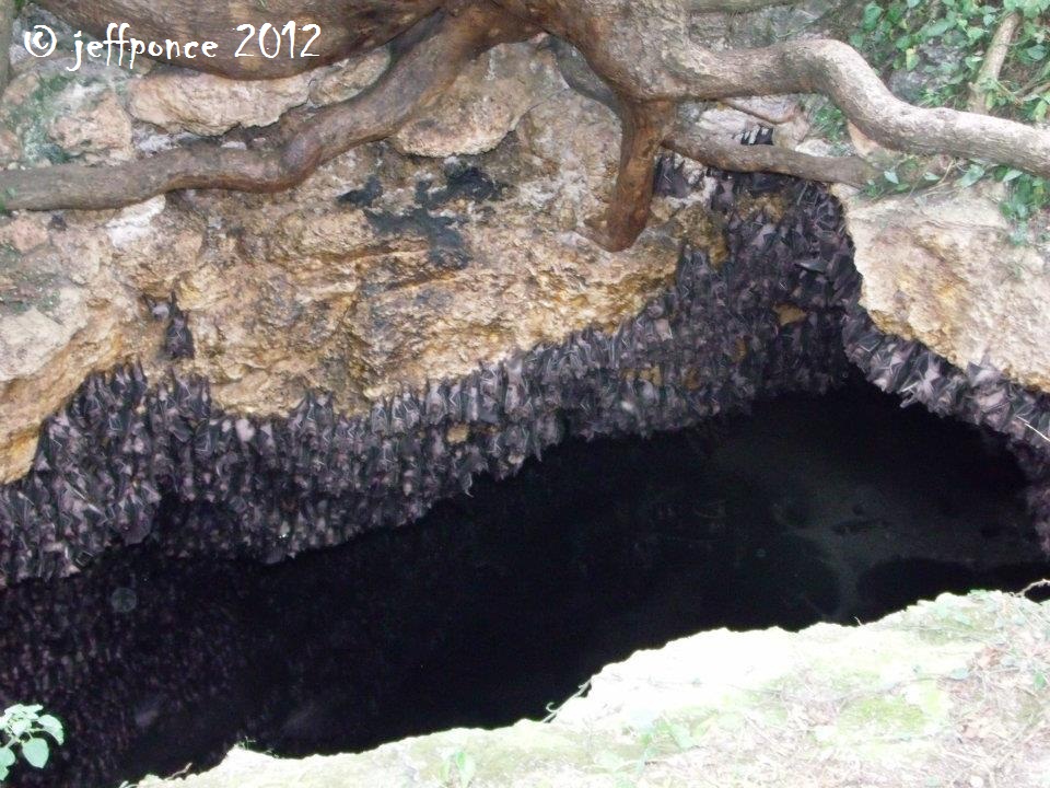 Bisayang Manlalakbay around the Philippines Monfort Bat Cave Sanctuary in Samal Island, Davao