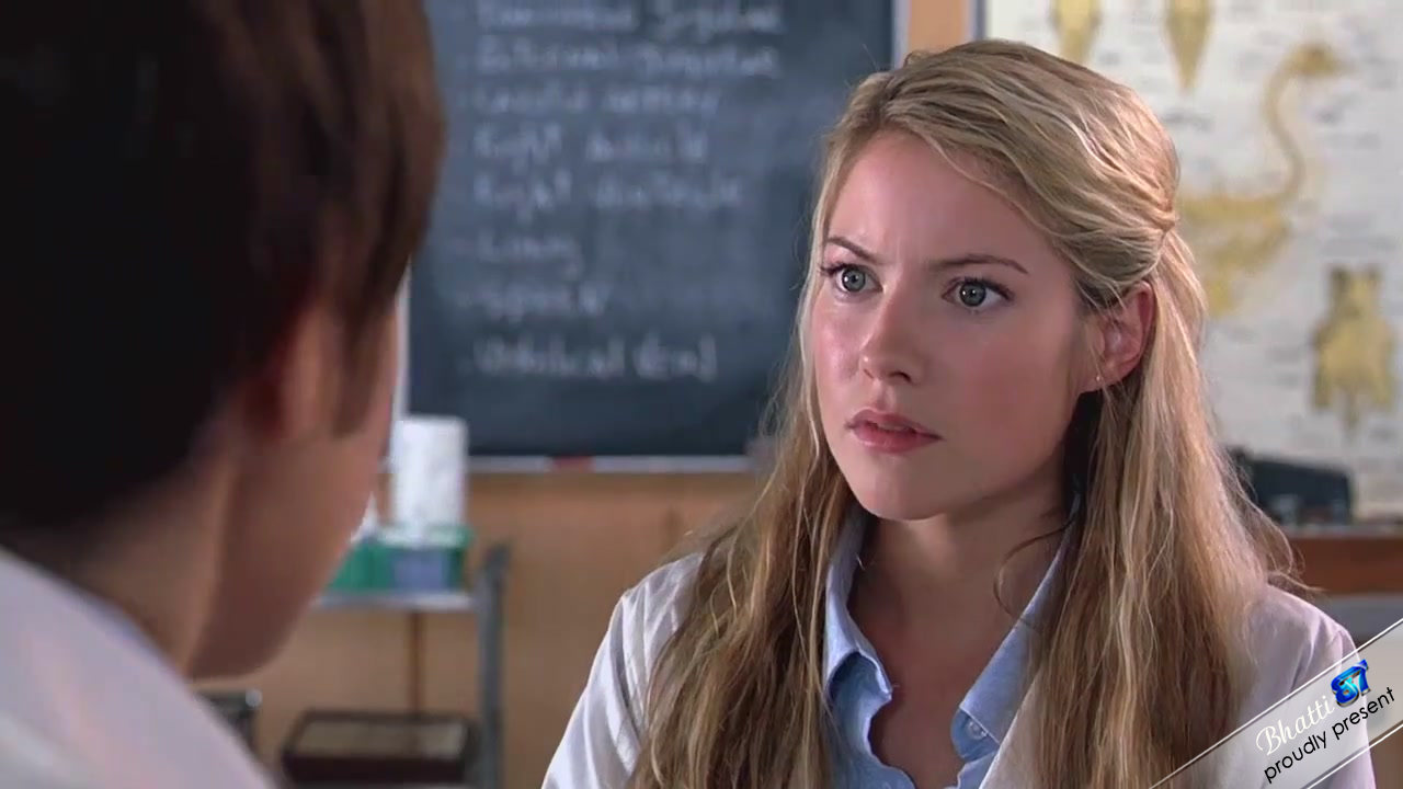 She's the Man (2006) HDTVRip 720p Hindi Eng Dual Audio Free Download