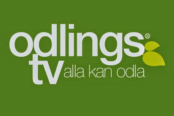 Odlingstv