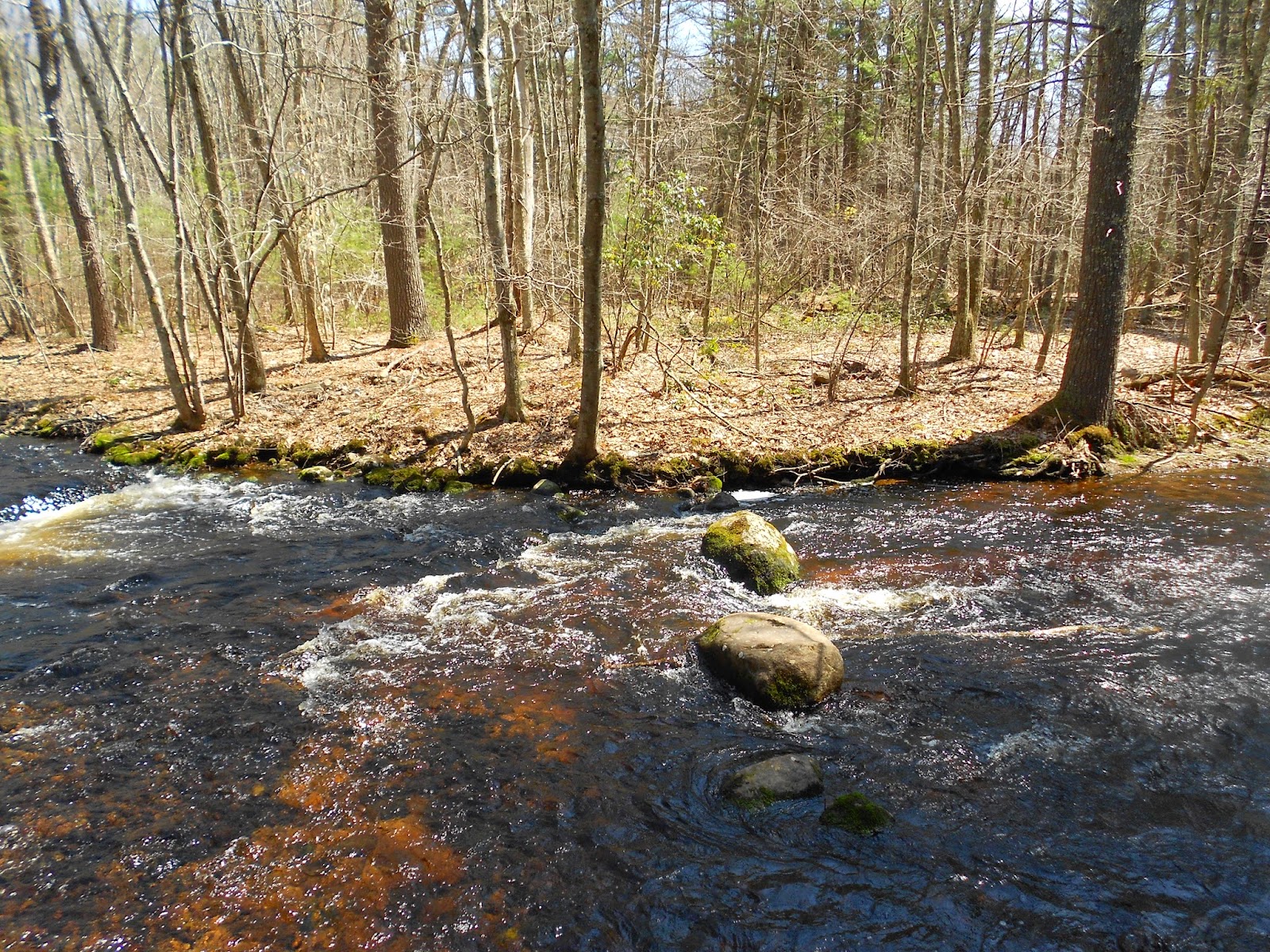 Breakheart Trail Running: North-South Trail Trek - Section #3.